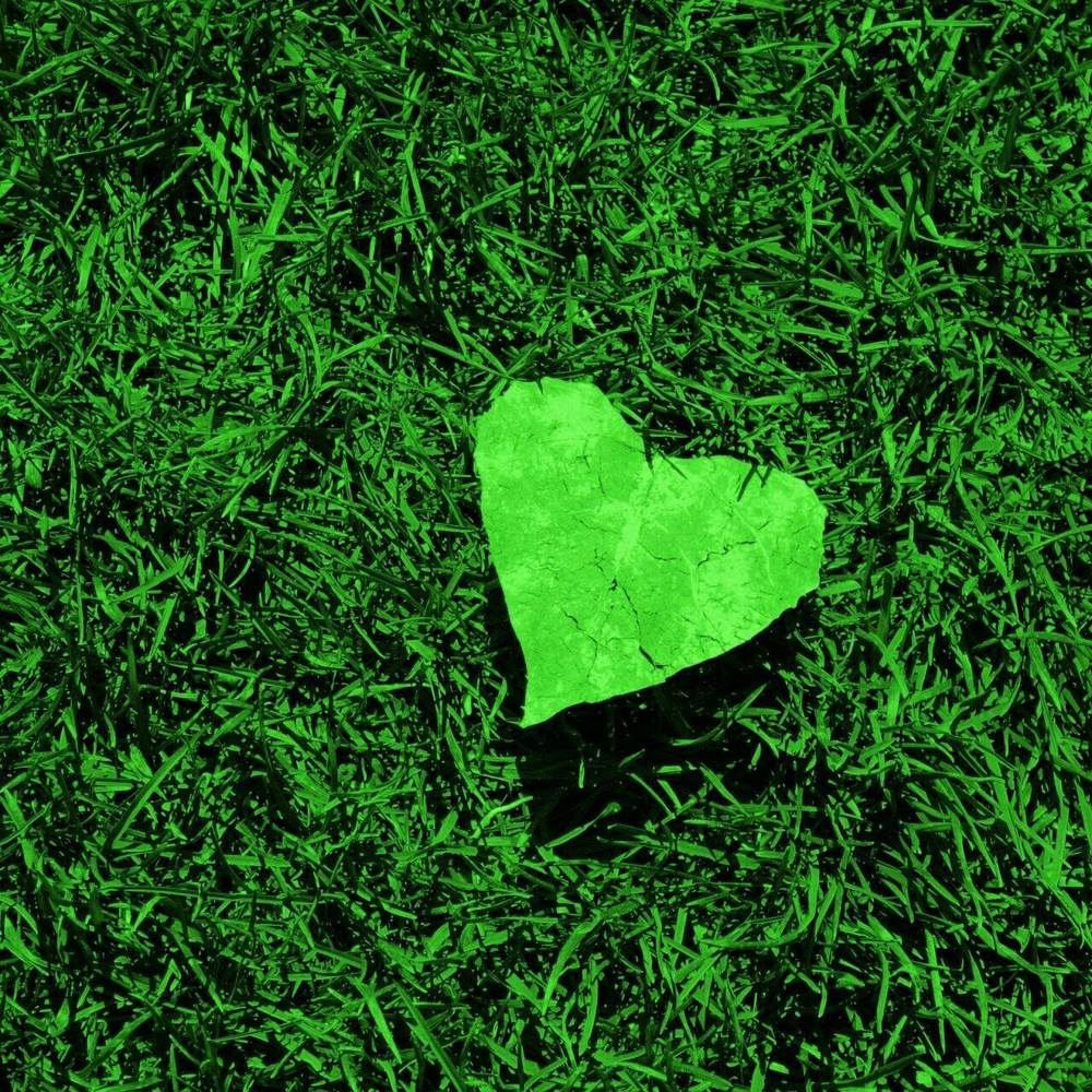 Meet your Posher, Taniah